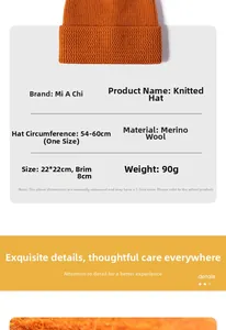 Size chart for winter beanie showing dimensions 22x22cm and cashmere wool material