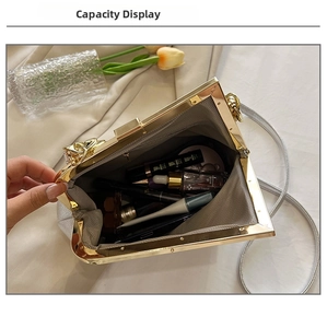 Detailed view of the silver frame handbag interior showing grey herringbone lining capacity