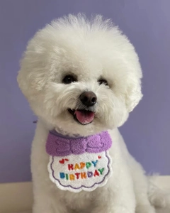 Close-up of a purple pet birthday bib with white HAPPY BIRTHDAY embroidery