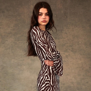 Detail of elegant brown zebra print dress with long sleeves and slimming silhouette