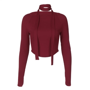 Top corto bordeaux a maniche lunghe in maglia a coste con scollo a girocollo alla moda