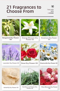 Macro display of nine distinct plant essential oil bottles with dried flowers inside
