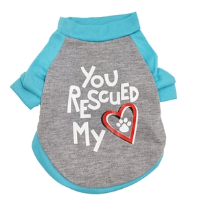 Detail of blue and grey raglan pet t-shirt featuring printed text and knit fabric texture