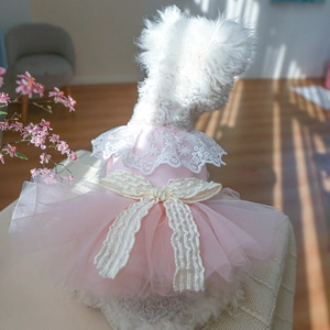 Pink lace princess dog dress with fairy mesh and bow detail shown on a white pet