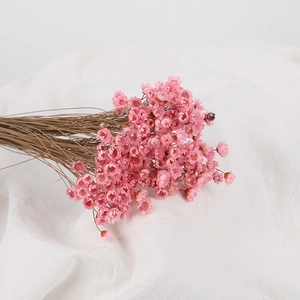 Dried small pink star flowers bouquet on white linen background for DIY decor