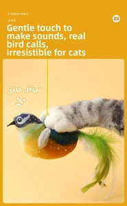 Detail of bird cat toy with feathers and touch-activated sound and insulation sheet