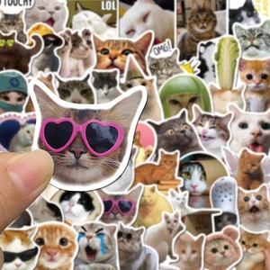 50 funny cat meme stickers for laptop and DIY projects with waterproof PVC finish