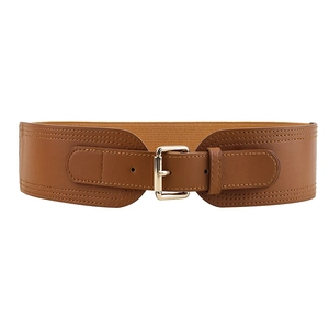 Stylish brown elastic wide belt with a golden square pin buckle for women's fashion