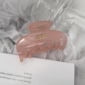 Pink translucent shark hair claw clip on white textured paper with gold lettering