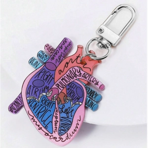 Macro detail of anatomical heart acrylic keychain with English medical labels