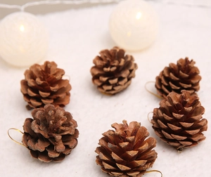Detail of natural pine cones with hanging strings on a white snowy festive background