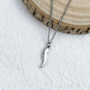Close-up of silver stainless steel chili pendant on a delicate cross chain over wood