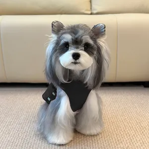 Detail of warm black pet vest with blue buttons on a small dog sitting on a beige rug