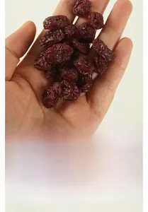Macro shot of realistic artificial dried cranberries with natural wrinkled texture