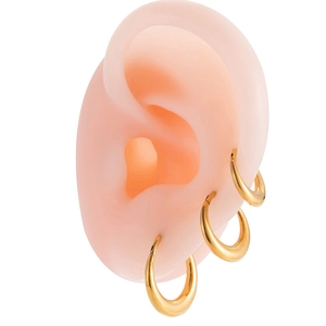 Three golden G23 titanium hoop earrings displayed on a realistic ear model set