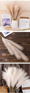 Close-up of artificial beige pampas grass texture in a white geometric vase setup