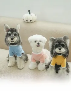 Close-up of ribbed cotton dog sweaters in blue, pink, and yellow for small pets