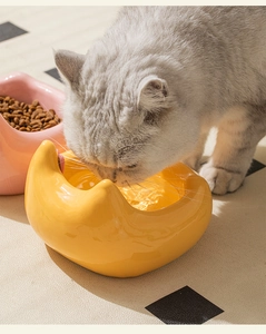 Close-up of British Shorthair cat drinking from a yellow ceramic wave-edged water bowl