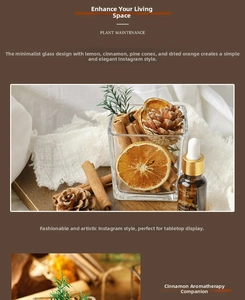 Macro shot of cinnamon sticks, dried lemon, and pine cones for an aromatherapy diffuser set