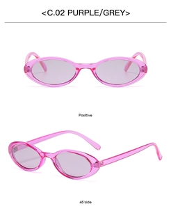 Dual view of purple oval sunglasses with grey lenses showing front and side angles