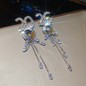 Gros plan des boucles d'oreilles 2026 en argent avec strass et longues franges