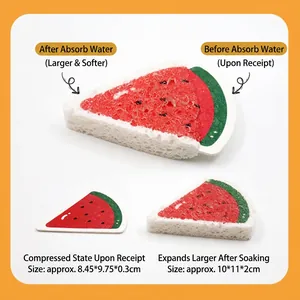 Watermelon shaped wood pulp sponge showing compressed and expanded states with dimensions