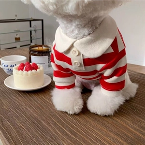 Grazioso maglione polo a righe bianche e rosse per cani di piccola taglia in casa