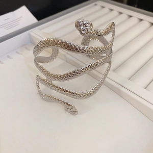 Vue macro d'un bracelet serpent argenté avec texture d'écailles et finition polie