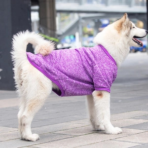 Purple breathable dog sweater for large breeds like Alaskan Malamutes in autumn