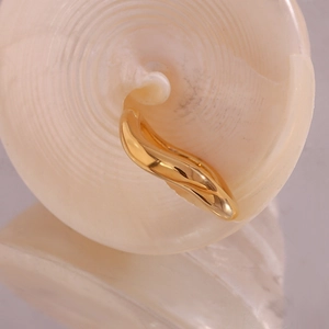 Detailed macro view of an irregular 18K gold-plated stainless steel ring inside a sea shell