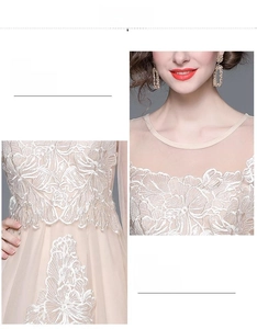 Détails de la robe en dentelle champagne élégante avec broderie et décolleté en mesh