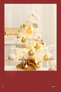 Close-up of white flocked mini Christmas tree with LED lights and Noel wood sign