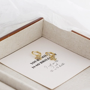 Close-up of golden hummingbird hoop earrings with sparkling crystals in a gift box