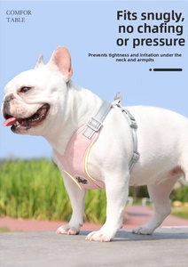 Pink X-shaped dog harness with reflective straps and adjustable buckle on a French Bulldog