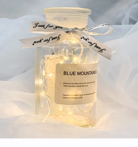 Detail of warm white LED fairy lights inside a clear glass jar with cork and ribbon decor