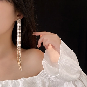 Close-up of elegant long silver tassel earrings with sparkling crystals on a model
