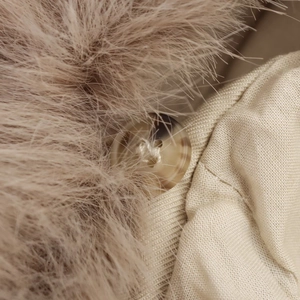 Detailed close-up of soft faux fur collar and tortoiseshell button on short trench coat