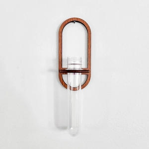 Detail of wooden wall-mounted test tube vase for hydroponic plants in minimalist style