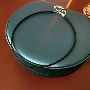 Detail of a black leather choker necklace with silver adjustable buckle on teal round box