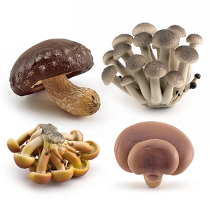 Realistic artificial mushroom set with textured shiitake and oyster mushroom models