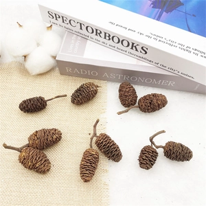 Macro shot of natural brown alder cones on linen background for Christmas decor