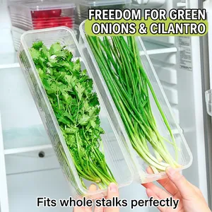 Set of 2 clear plastic food storage boxes for scallions and noodles in a refrigerator