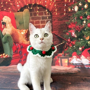 Close-up of a white cat wearing a handmade green and white crochet Christmas collar