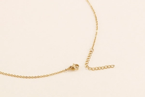 Détail d'un collier doré en acier inoxydable avec fermoir mousqueton et chaînette réglable