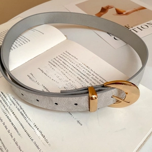 Macro detail of silver cracked texture belt with a round golden buckle on a vintage book