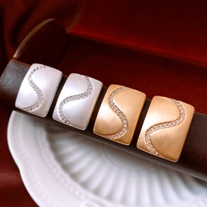 Macro shot of rectangular matte earrings with S-curve zircon inlays and brushed texture