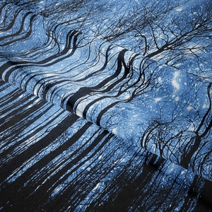 Detailed macro view of midnight forest print on high-quality satin fabric with elegant drape