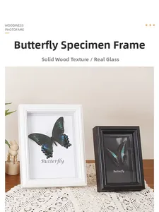 Close-up of butterfly specimen frame showing the solid wood texture and high-clear glass