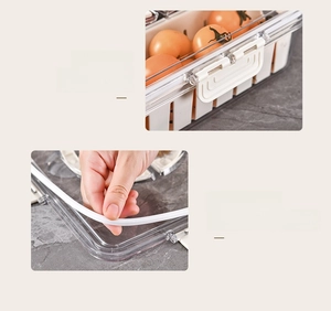 Detail view of transparent egg storage box with secure buckle and silicone seal ring