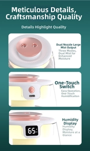 Detail of USB humidifier with dual mist spray nozzles and LED humidity display screen